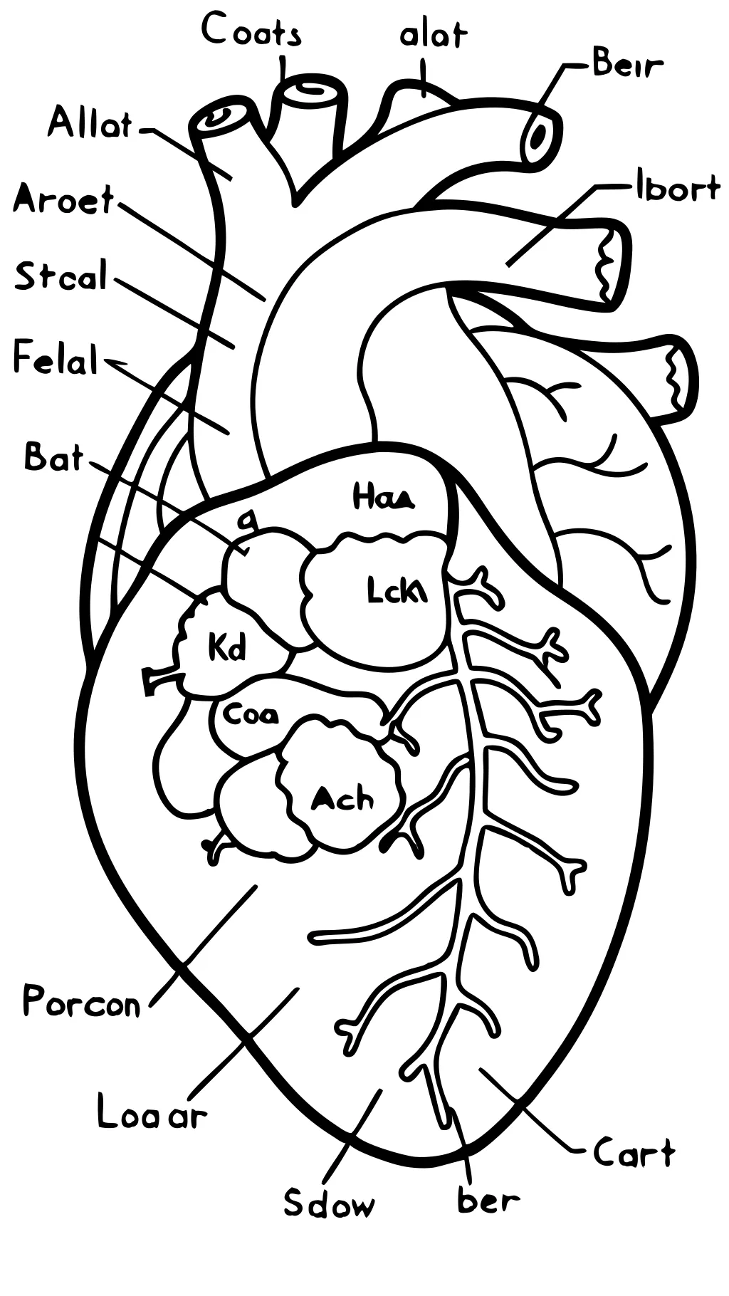 heart coloring pages anatomy